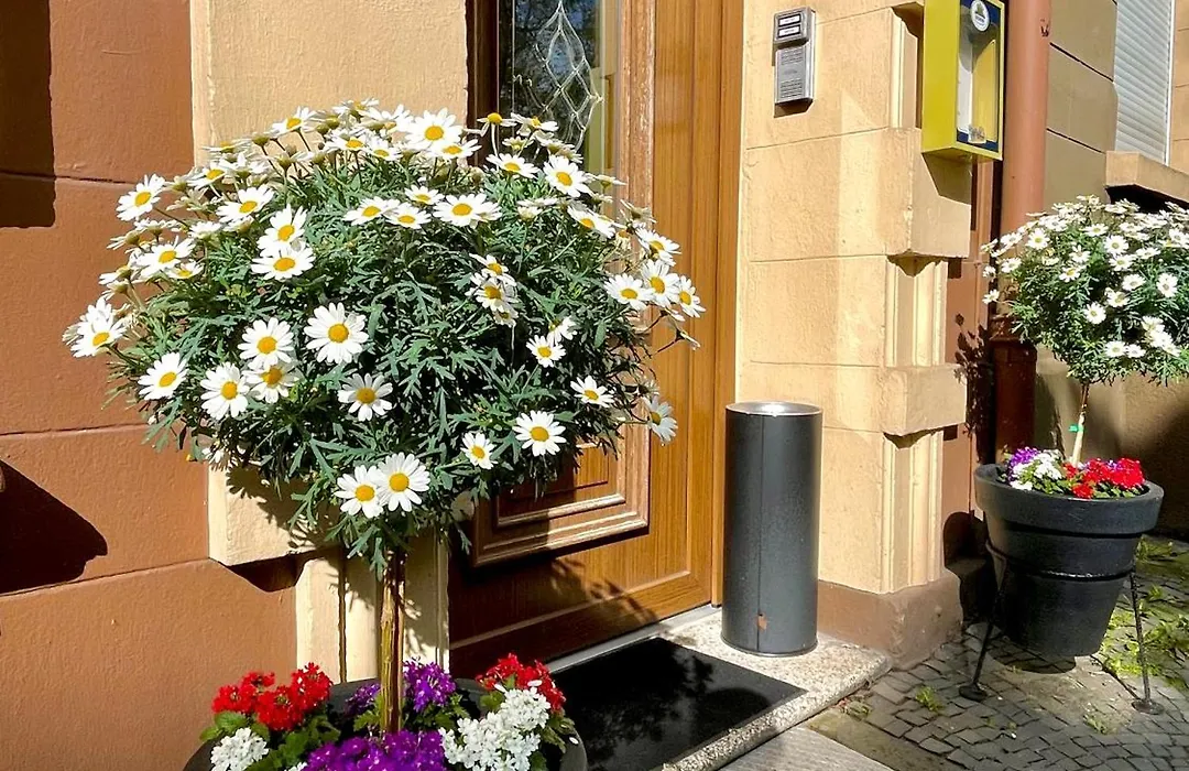Hotel Antoni-1